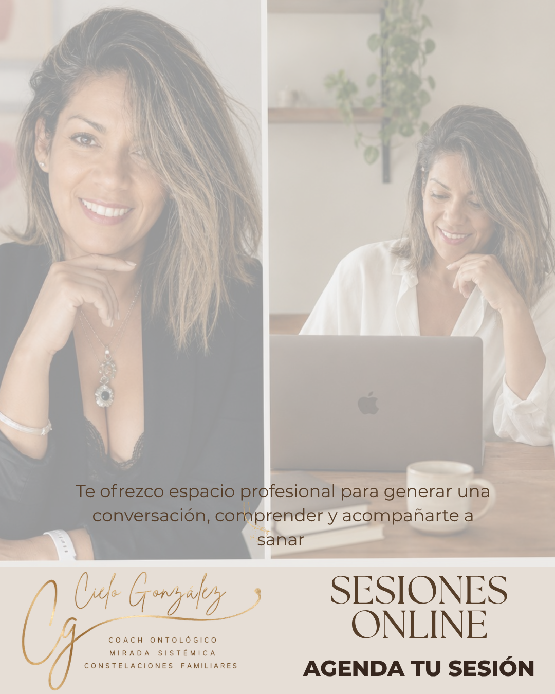“Qué pasa en una sesión sistémica online”